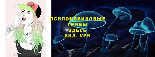 гидропоника Балабаново