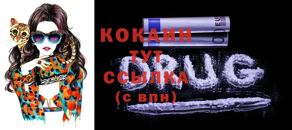 эйфоретик Баксан