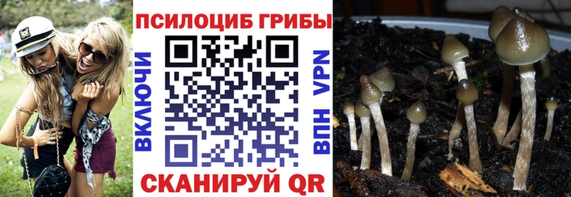Псилоцибиновые грибы мухоморы  закладка  Калуга 