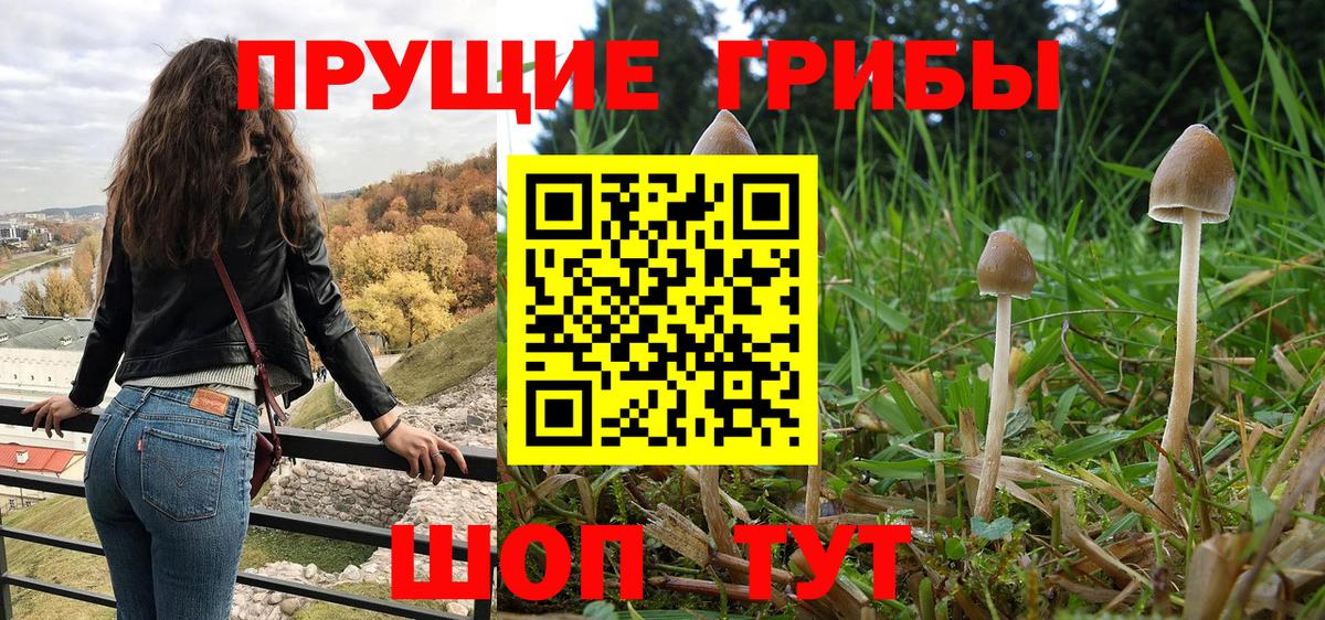 Галлюциногенные грибы Cubensis  Вход с VPN  закладки  Псилоцибиновые грибы Cubensis  Калуга 